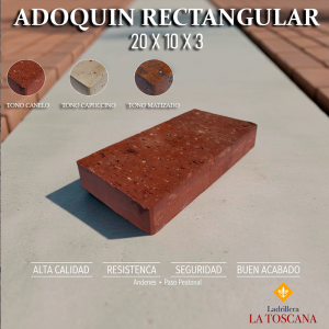 Adoquin Rectangular  20 x 10 x 3 (cms)