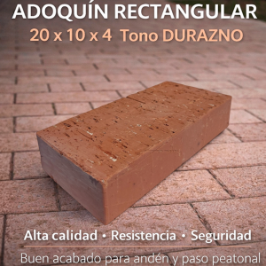 Adoquin Rectangular 20 x 10 x 4 (cms)