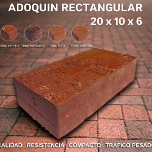 Adoquin Rectangular  20 x 10 x 6 (cms)