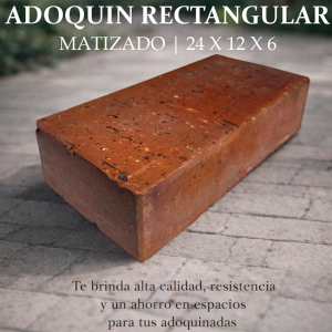 Adoquin Rectangular  24 x 12 x 6 (cms)