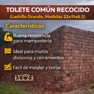 Tolete común recocido (Ladrillo grande 22x11 x6.5)