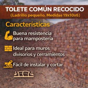 Tolete común recocido (Ladrillo pequeño 19X10X6)